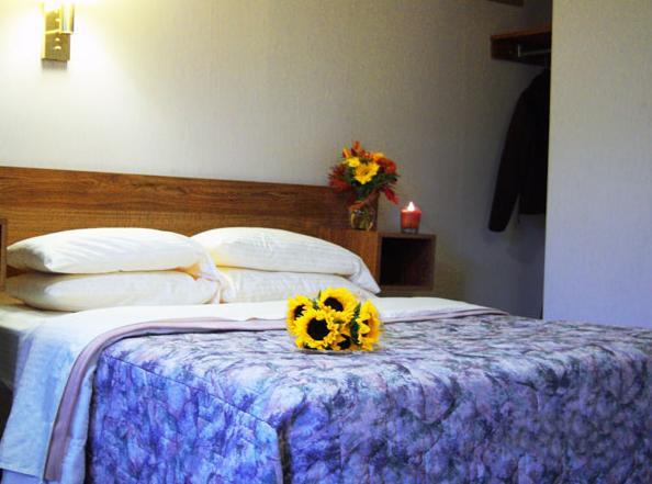 Tall Pines Motel Lake George Cameră foto